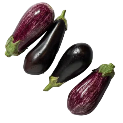 Aubergines variées
