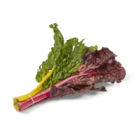 Blette Bright Light (botte de 500g)