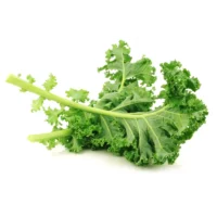 Chou Kale Westlandse
