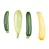 Courgettes variées