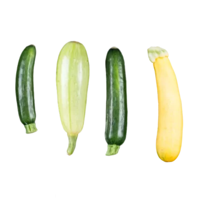 Courgettes variées