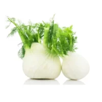 Fenouil