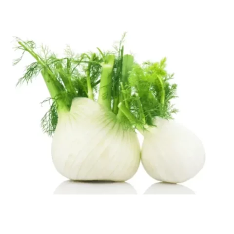 Fenouil