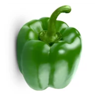 Poivron Vert
