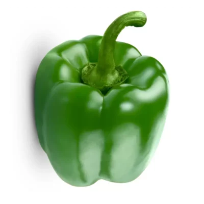 Poivron Vert