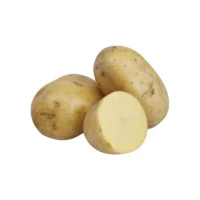 Pomme de terre Margod