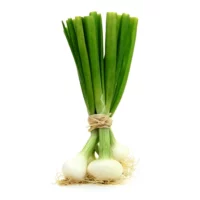 Oignons nouveaux