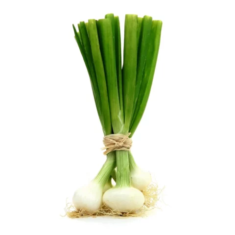 Oignons nouveaux