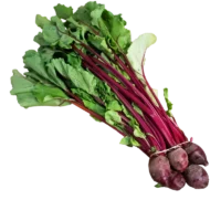 Betterave