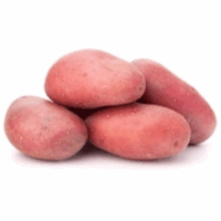 Pomme de terre Chérie
