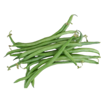 Haricot vert Cobra