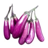 Aubergine Slim Jim