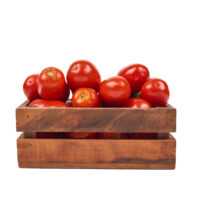Cagette tomates coulis 10kg