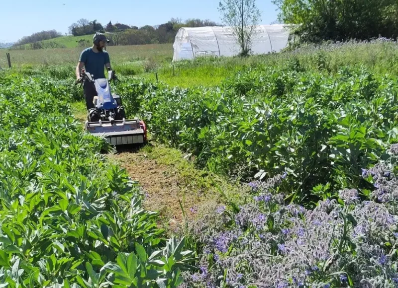 Nouveau jouet du maraîcher : un outil pour gagner du temps et se préserver